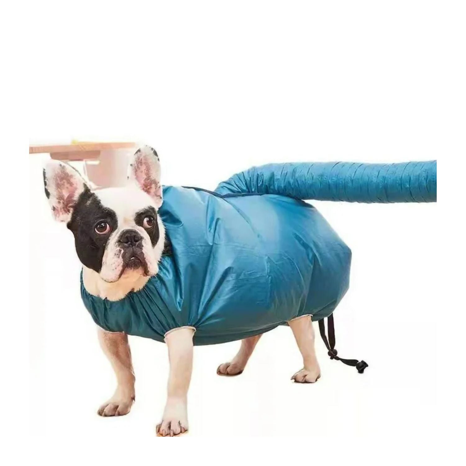 Bolsa De Secado Rápido Para Mascotas